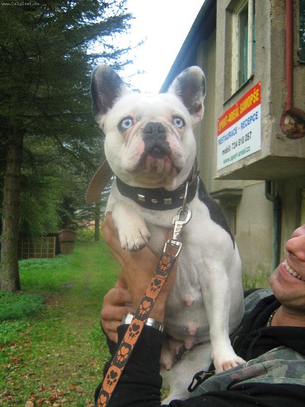 Foto: Urisa
